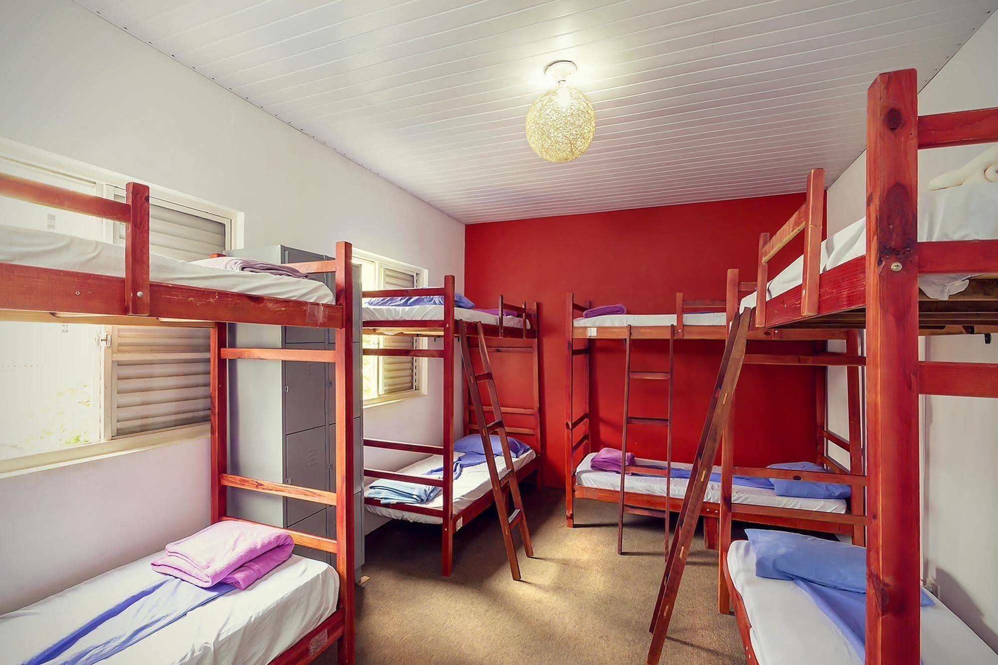 סאו פאולו The Connection Hostel מראה חיצוני תמונה