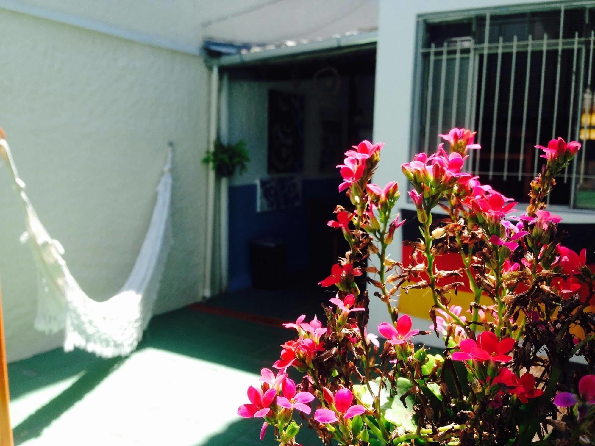 סאו פאולו The Connection Hostel מראה חיצוני תמונה